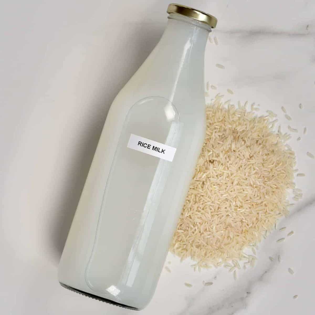 simple homemade rice milk 2 ingredients - Article 3